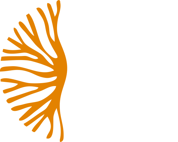 Logo lessiniaradici